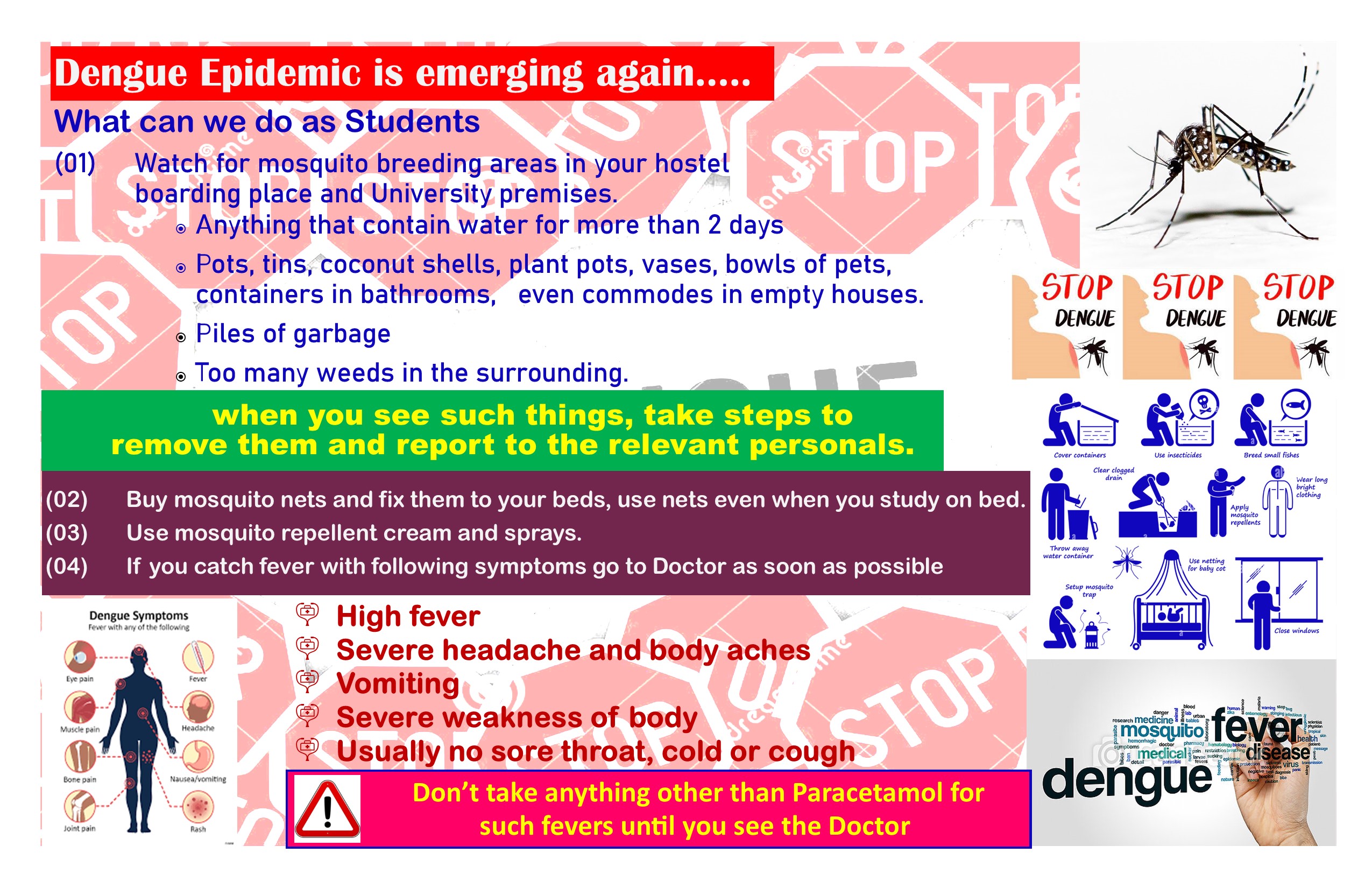 Dengue Poster