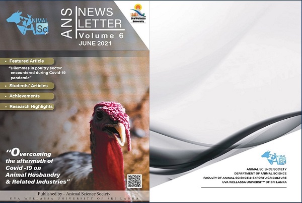The 6th Volume of the ANS Newsletter is Available Now