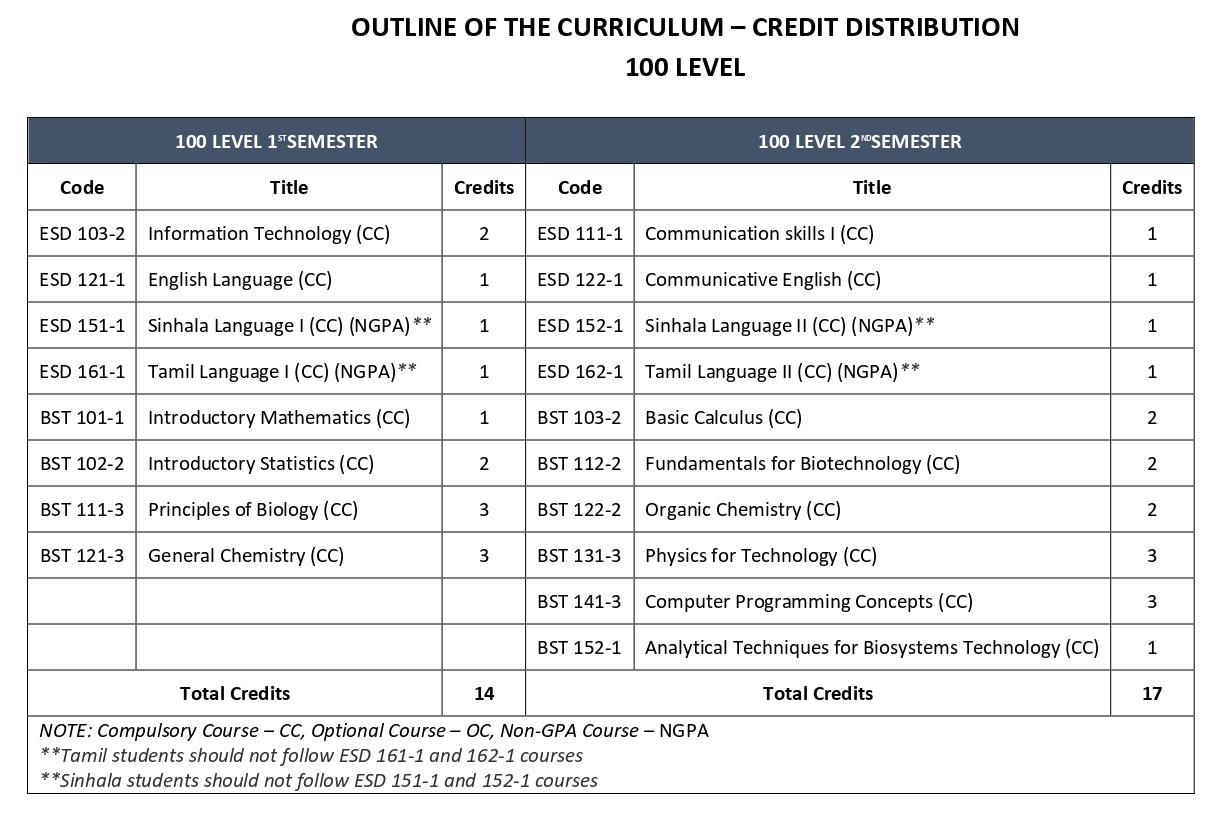 curriculum_page-0001