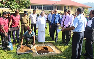 Sakura Tree Planting Ceremony