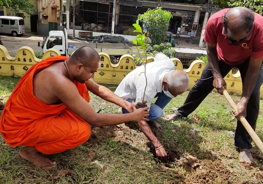 UWU Library Organised a Tree Planting Programme