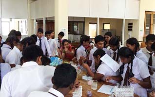 Workshop on chemistry for ordinary level science students